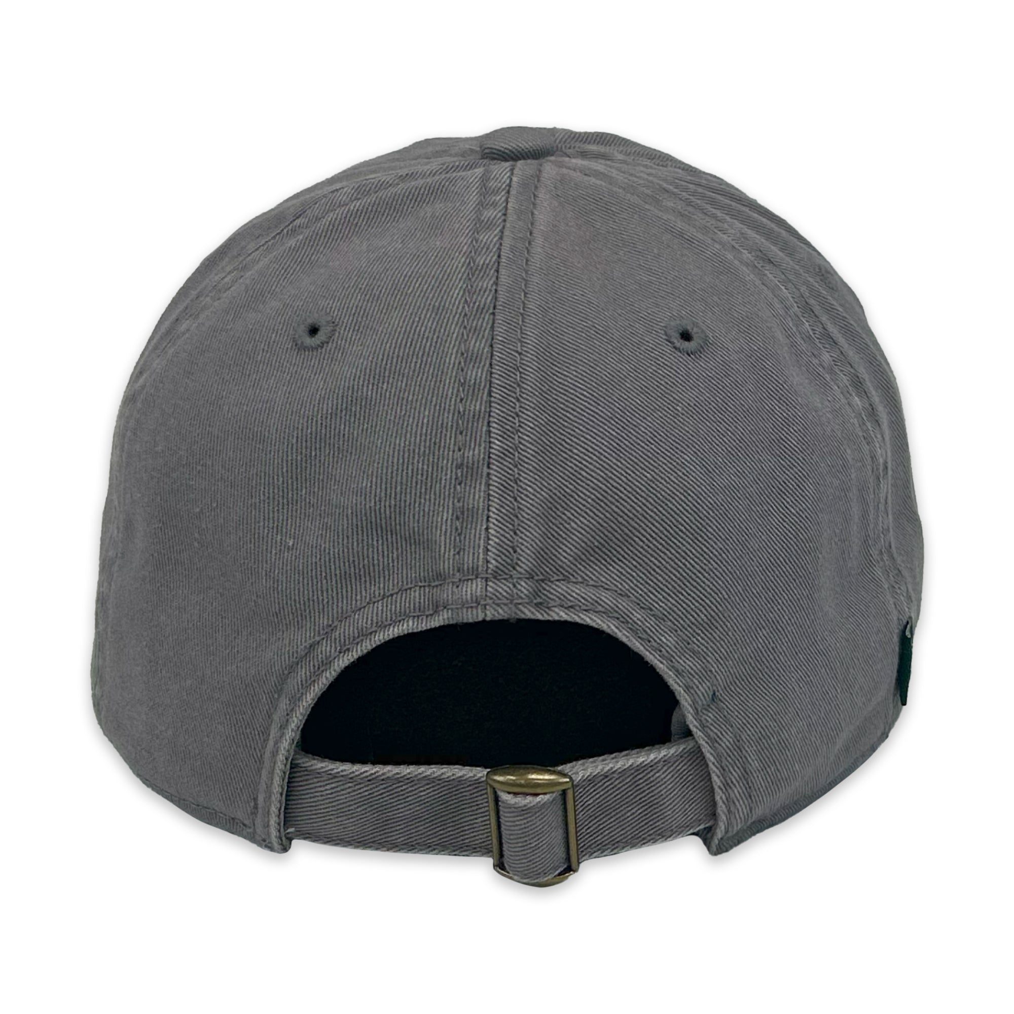 Air Force Retired Relaxed Twill Hat (Grey)