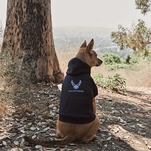 Air Force Wings Dog Hoodie