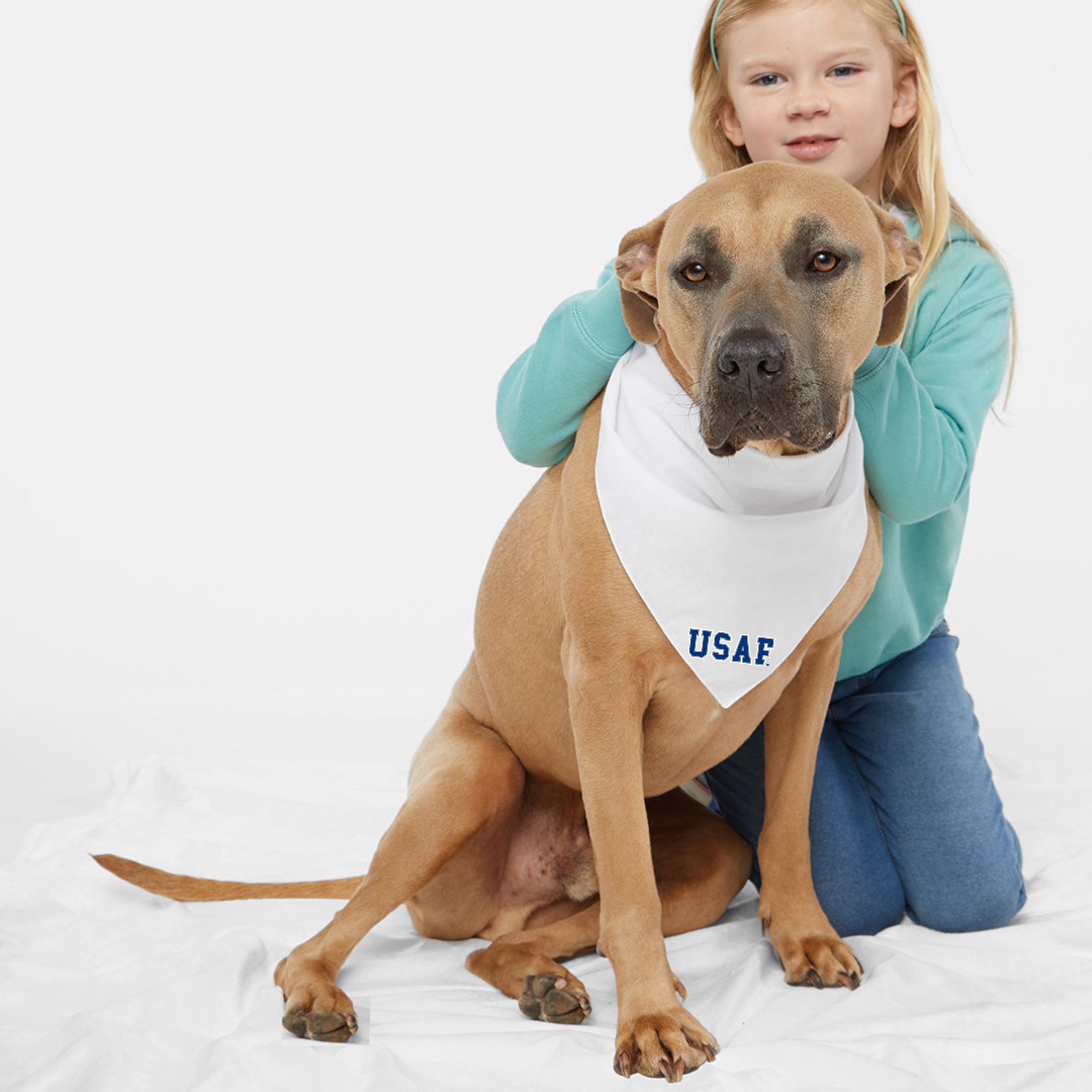 Air Force Block Dog Bandana