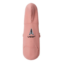 Load image into Gallery viewer, Space Force Delta Dog Hoodie