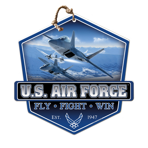 United States Air Force Air Power Badge*