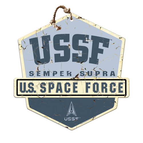 United States Space Force Metal Badge*