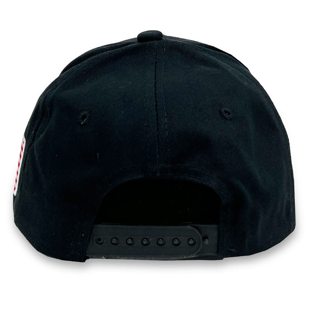 United States Space Force Logo Hat (Black)